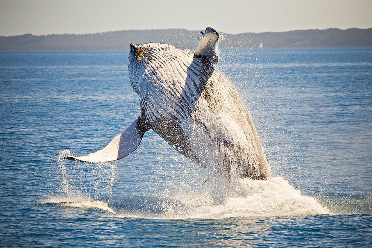 Ingenia Holidays Hervey Bay Kültér fotó